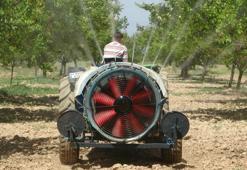 Malatya'da milyonlarca ağaç etkilendi! Çiftçi geri dönüşü bekliyor
