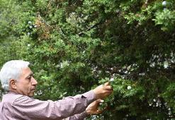 Ham maddesi doğadan, işçiliği Mustafa Usta'dan! İnternetten sattığı tespihlerin siparişlerine yetişemiyor