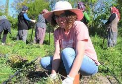 Emekli ikramiyesini yaktı, Samsun'da arazi zengini oldu: Seri üretime geçti 41 yaşında işin toptancısı oldu
