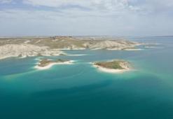 Türkiye'de sadece Adıyaman'da var! Binlercesi akın ediyor: Halk yanlarına yaklaşmıyor