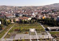 Bir kent diken üstünde! Sıcakların artmasıyla ortaya çıktı, yolda, tarlada her yerde görülüyorlar