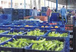 Hallerde ucuzluk dönemi cezalarla başlıyor