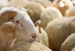 Kurban Bayramı öncesi 30 bin TL avans verilecek! 1 Haziran'da ödemeler yatırılıyor