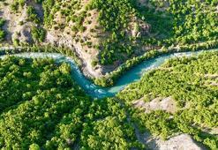 2 bin 250'den fazla bitki tespit edildi: 10 kriterden 6'sını karşılıyor: Munzur Vadisi Dünya kültür mirası listesine girmeye hazırlanıyor