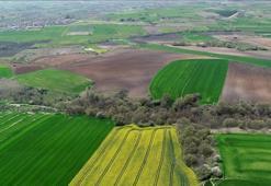 5 milyon kişi ilgilendiriyor! Bakan Kurum'dan 2B müjdesi: Tapularını kazandıracağız