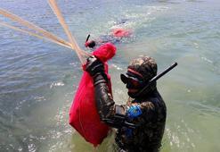 Denizden çıkanlar şaşırttı: Tam 43 kilo! Sahilde sergilendi