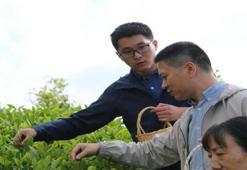 Çinli akademisyenlerden Rize'de çay sürprizi