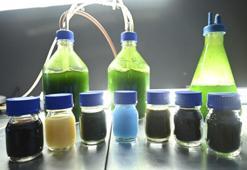 Geleceğin yeşil altınını üretmeye başladı! TÜBİTAK destek verdi, İngiltere ortak olmak istiyor