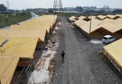 Kurban Bayramı'na sayılı günler kaldı: İlk kurbanlıklar İstanbul'a geldi; ilk satışlar yapıldı