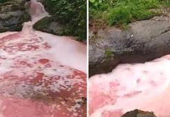 Rize'de dere rengi kırmızıya döndü! Soruşturma başlatıldı