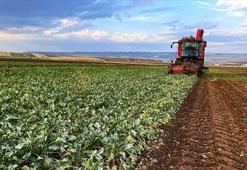 Çiftçilere 3,3 milyar lira destek ödemesi bugün hesaplara yatacak