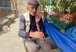 4 farklı adı var ama Diyarbakır'ın Türkiye'ye hediyesi: Dağlarda karların içinde yetişiyor
