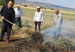 Sadece 8 gün sürüyor ama Arap ülkelerine her yıl tonlarca satıp servet kazanıyorlar: Maliyeti düşük ve zahmetsiz