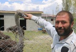 Babasının yıllardır kurduğu hayalini gerçekleştirdi! Sivas'ta bir ilke imza attı