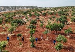 Gaziantep'te kaybolan otizmli Onur'u arama çalışmaları devam ediyor