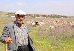 Kahramanmaraşlı Hüseyin dede gençlerin yüzüne bakmadığı işini 80 yaşında sürdürüyor