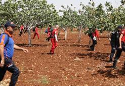 Gaziantep'de kaybolan 10 yaşındaki Onur'u arama çalışmaları sürüyor