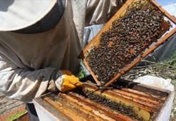 Manisa'da dünyada bir ilk yapılıyor! Maden sahasında üretimine başlanıyor