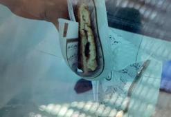 Tost ekmeğini Kuran-ı Kerim sayfalarına sardı! Gaziantep'te skandal olay!