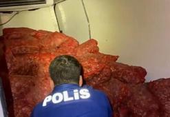 Samsun'da kaçak avlanan 2,9 ton midye ele geçirildi