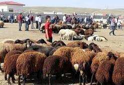 Kurban kesiminden sonra 2 rekat namaz nasıl kılınır? Niyeti nasıldır?