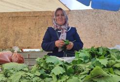 Hiç para harcamadan aile bütçesine katkı sağlıyor! Kilosunu 200 TL'den satıyor