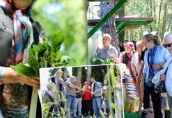 Samsun'da gastronomi meraklılarını buluşturan festival: 1800 farklı çeşit, 4 gün boyunca sürecek lezzet şöleni