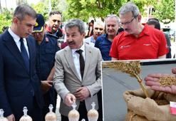 Adana'da tarıma güçlü destek: 8 çeşit tohum tarımsal üretime kazandırılacak