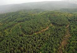 Burdur Valisi açıkladı! Ormanlık alanlara girişler yasaklandı