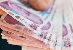 Bakanlık açıkladı: Çiftçilere 251 milyon TL destek ödemesi bugün yapılacak