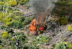 Diyarbakır'da piyasa değeri tam 100 milyon TL! Hepsi ateşe verilip imha edildi