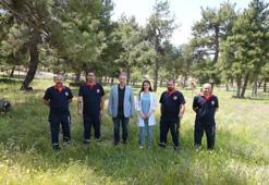 Kurban timleri Gürsu'da göreve hazır!