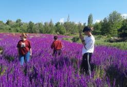 Konya'nın Bozkır'ı baharda renk cümbüşüne döndü