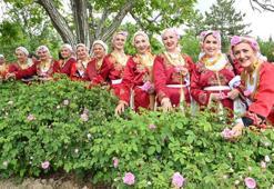 Hasat başladı, Isparta Gül Festivali'nde coşku doruklara taşındı