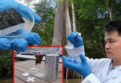 Minik sünger parçası sususluğu kökünden çözüyor! Depremde hayat kurtaracak