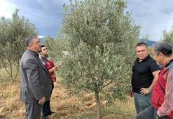 Dolunun vurduğu Esençay’da hasar tespiti yapıldı