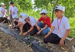 Bingöl'deki proje üst üste 3 yıl kabul edildi