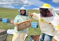 Karslıların fark edemediğini Ordulu aile fark etti! Yıllar önce dedeleri buraya geliyordu şimdi kendileri geliyor