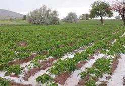 Nevşehir'de tarımı dolu ve sel vurdu!