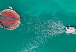 Atatürk Barajı bölgede ekmek kapısı olmaya devam ediyor! Diyarbakır'ın ilçesi buradan geçimini sağlıyor