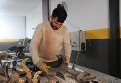 Dişi manda boynuzu hiç bu kadar değerli olmamıştı! 60 bin TL’den satışa sunuluyor
