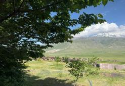 Iğdır'da beklemediği başına geldi! Çorak arazi yeşillendi