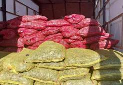 Sakarya'da 3 milyon TL değerinde kaçak midye ele geçirildi