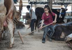 Bursa'da kurban diye 8 yaşındaki Ecrin'i seçtiler! Hayvan pazarının en küçük satıcısı