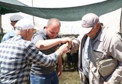 Elazığ'da kol kıran kurban pazarlığı: Hayvan pazarında ilginç görüntü