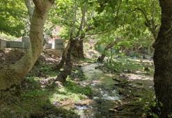 Batman'ın doğa harikası Kınalı vadisi turizme kazandırılıyor