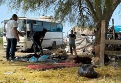 Adana'da bayrama yakışmayan görüntüler! Kaldırımlarda ve boş arazilerde kurban kestiler