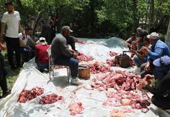 Hakkari'de asırlık gelenek! Bayram namazı sonrası başlıyor, 100 hayvan kesilip yapılıyor
