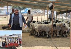 Adana kurban pazarlarında fiyatlar dibine vurdu: Yüzde 40'a varan indirim vatandaşı sevindirdi!