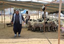 Kurbanlık ücretleri yüzde 40'a düştü! En düşük fiyat 13 bin lira oldu